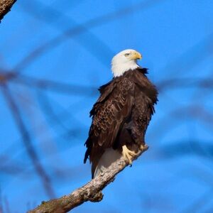 Meet your Posher, Christi